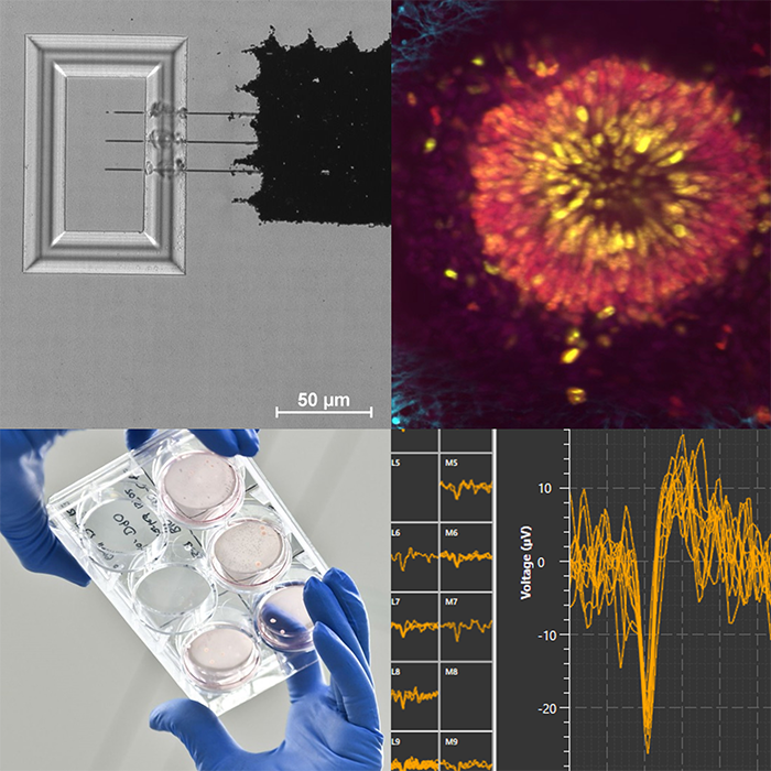 announcement TWIN LABs Workshop